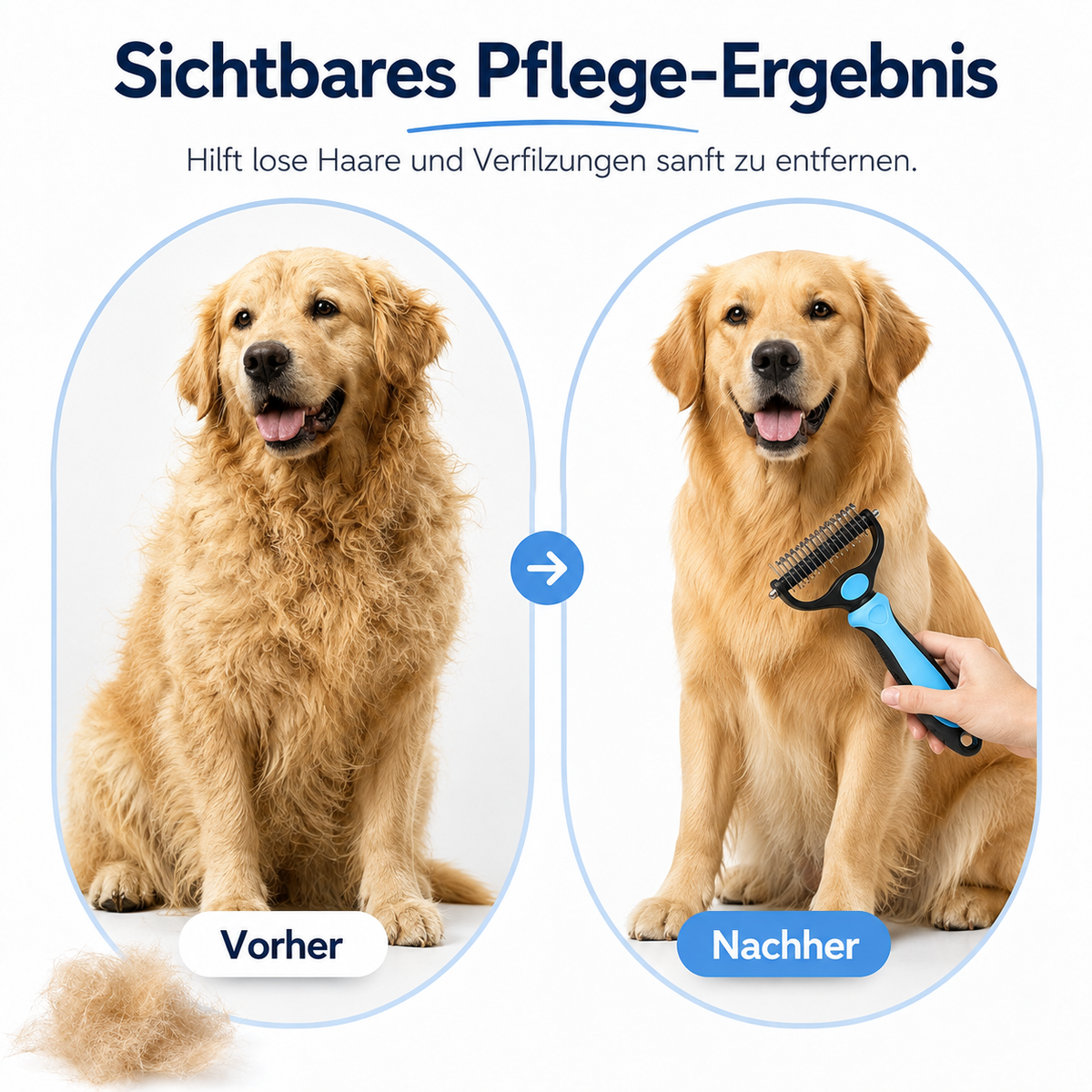 Lorvell 3-Zonen-Tierhaar-System – Komplettset für Tier, Möbel & Kleidung